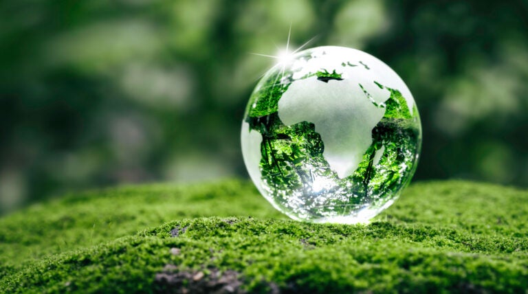 Crystal-earth-in-green-grass-forest-with-sunlight-color